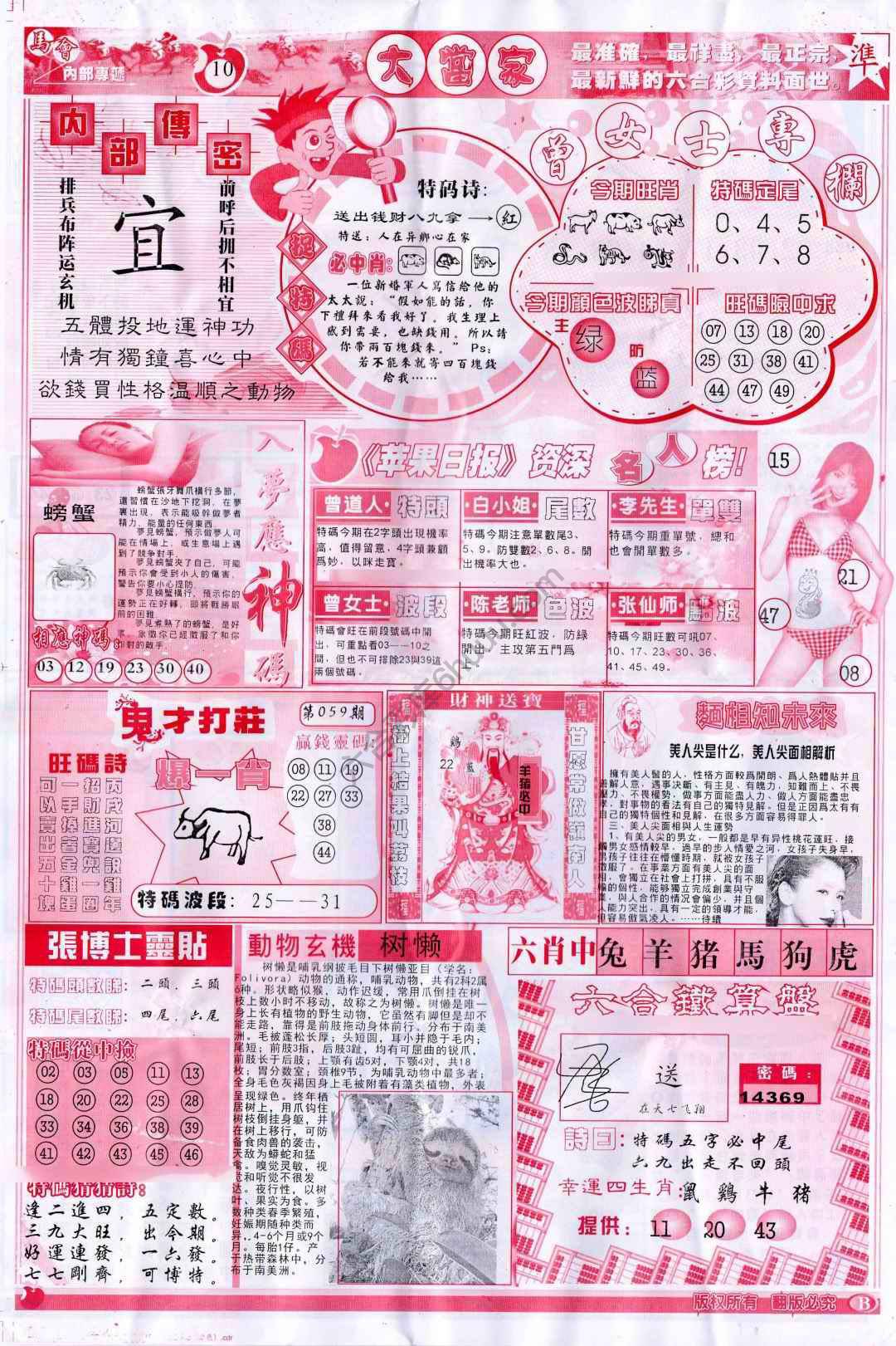 大当家