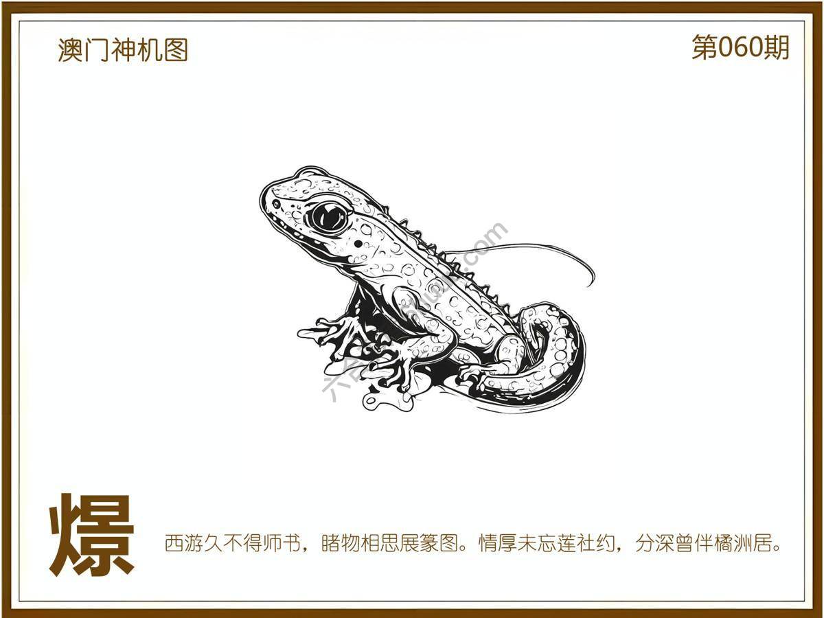 澳门神机图