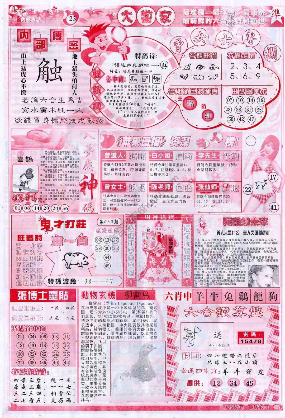 大当家