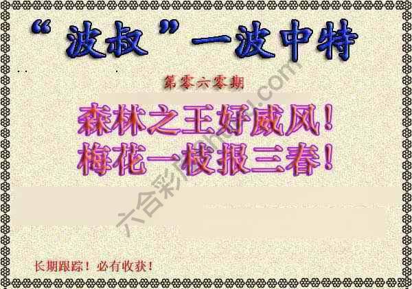 波叔一波中特