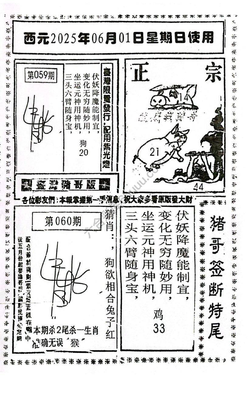 猪哥签断特尾