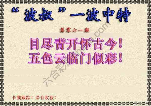 波叔一波中特