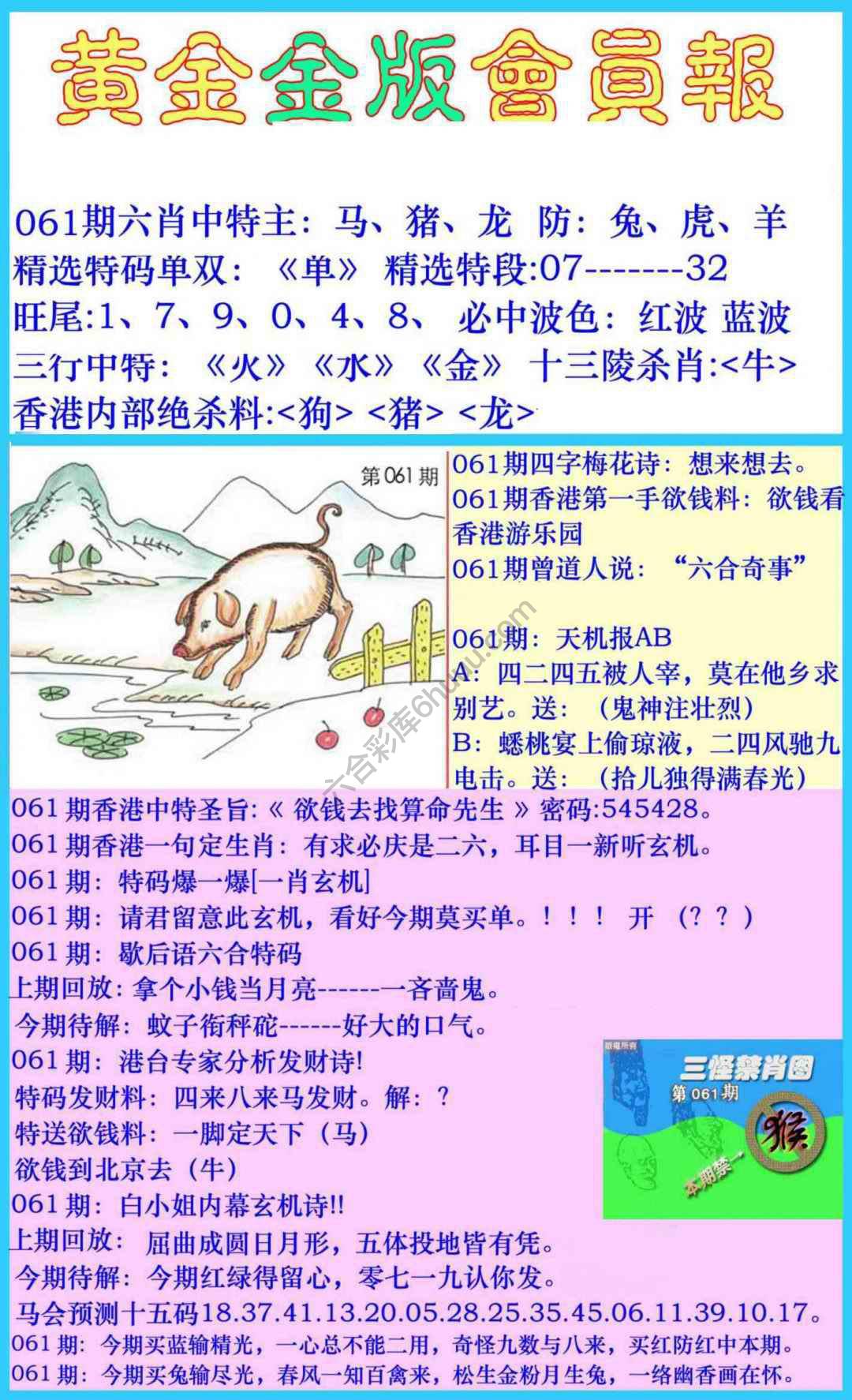 黄金金版会员报