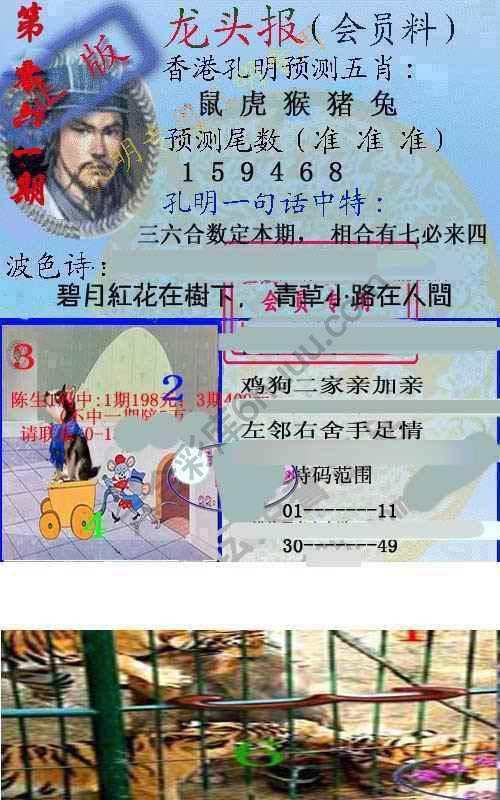 龙头报
