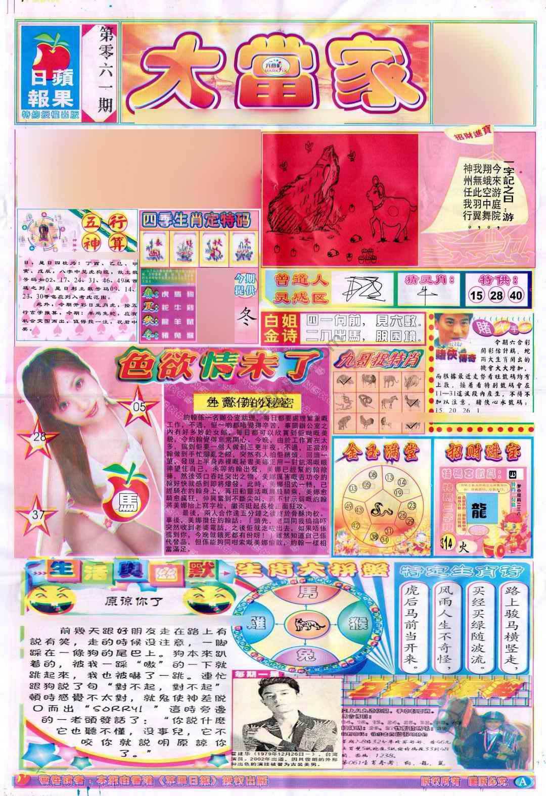 大当家
