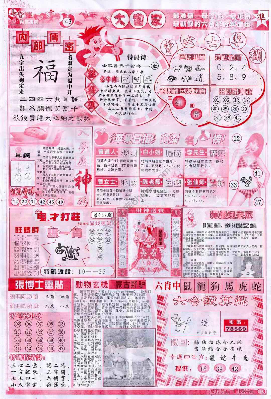 大当家