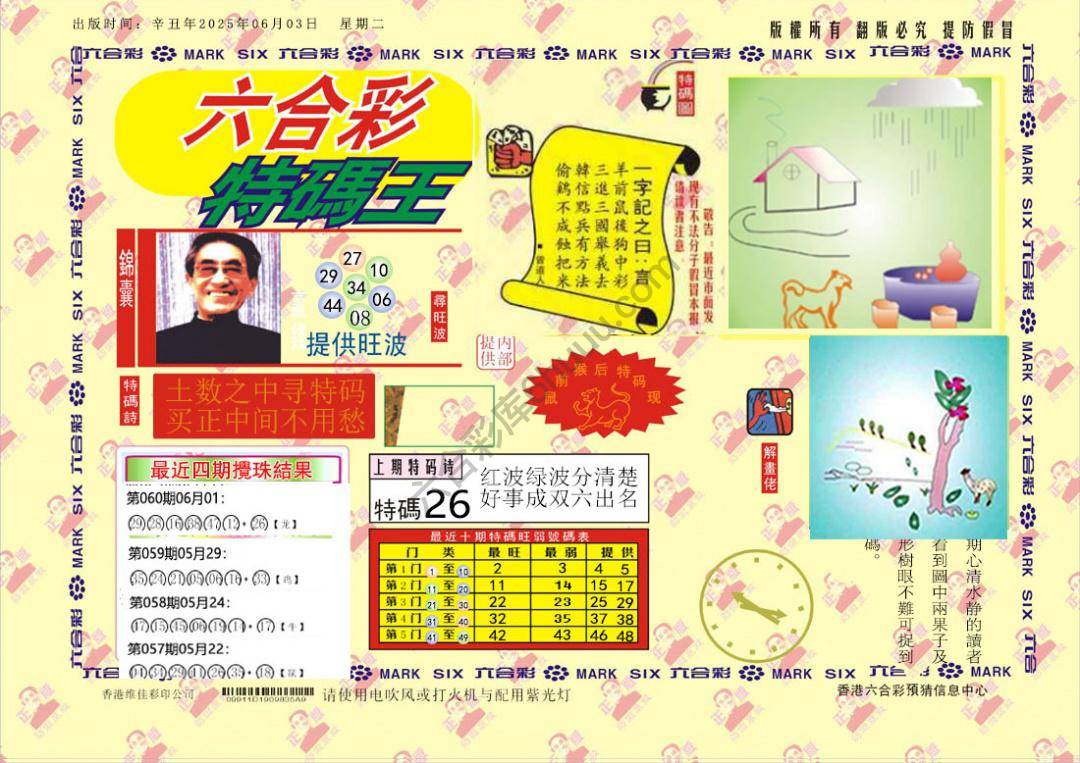 特码王