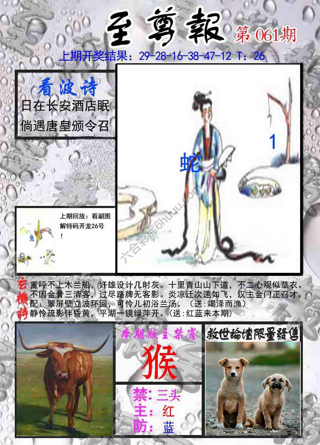 至尊报
