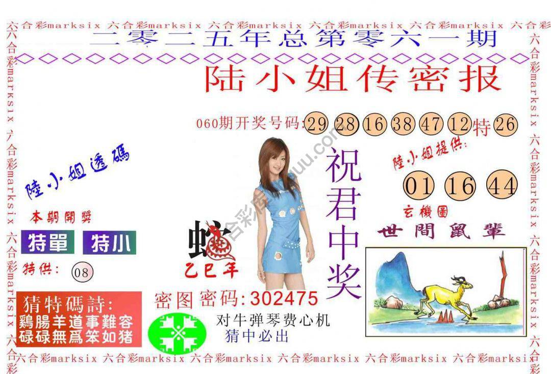 陆小姐传密