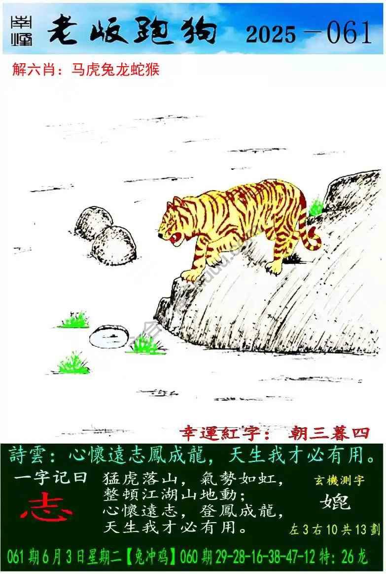 老版跑狗图