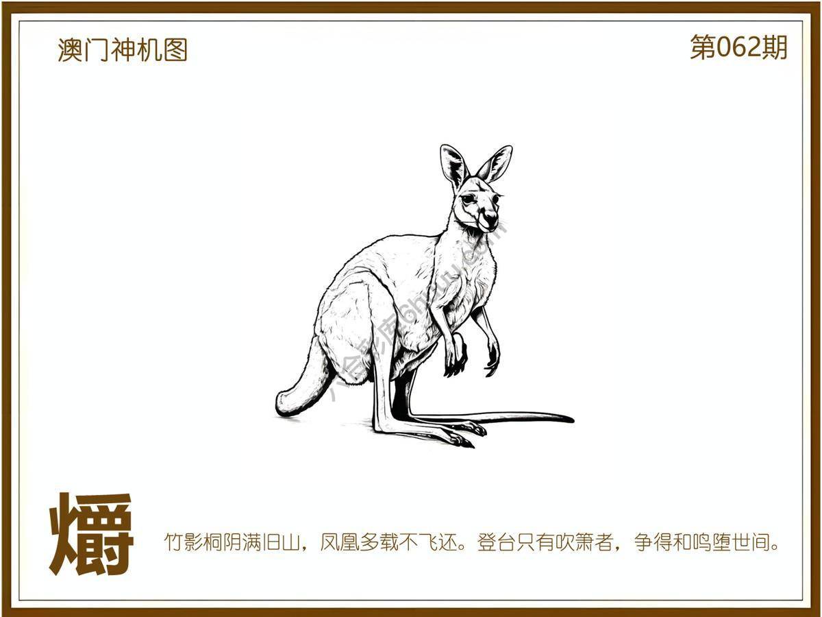 澳门神机图