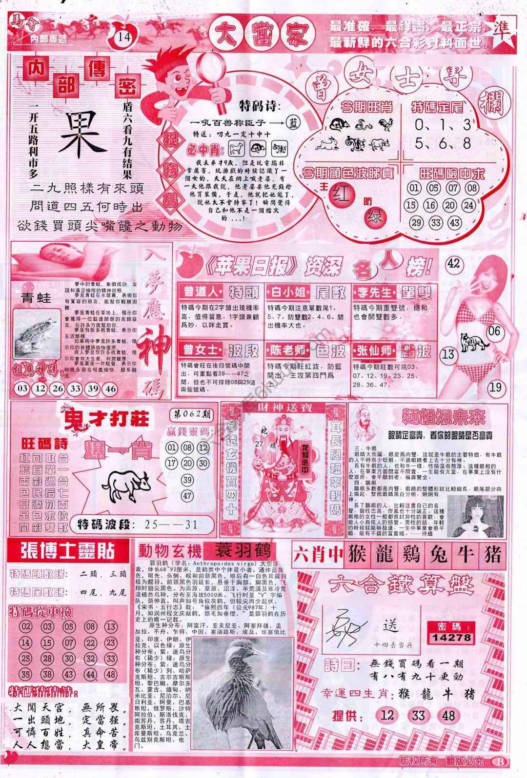 大当家