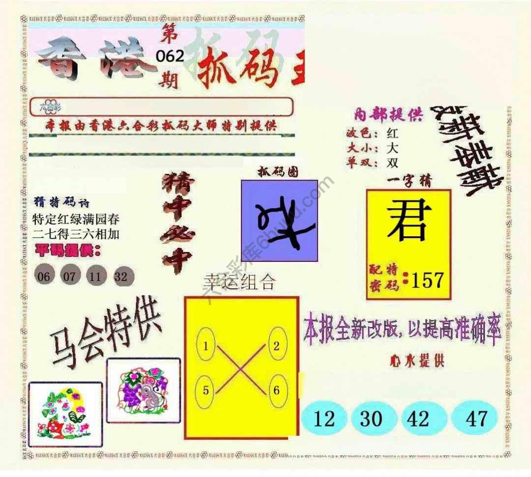 新抓码王