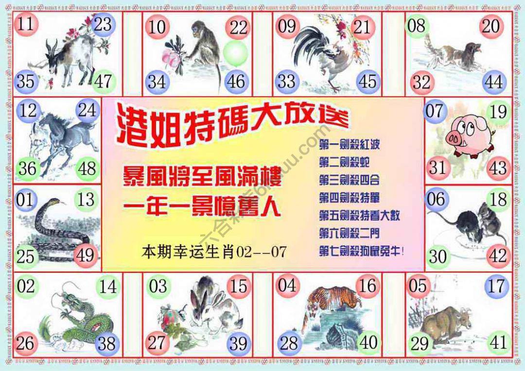 港姐密报