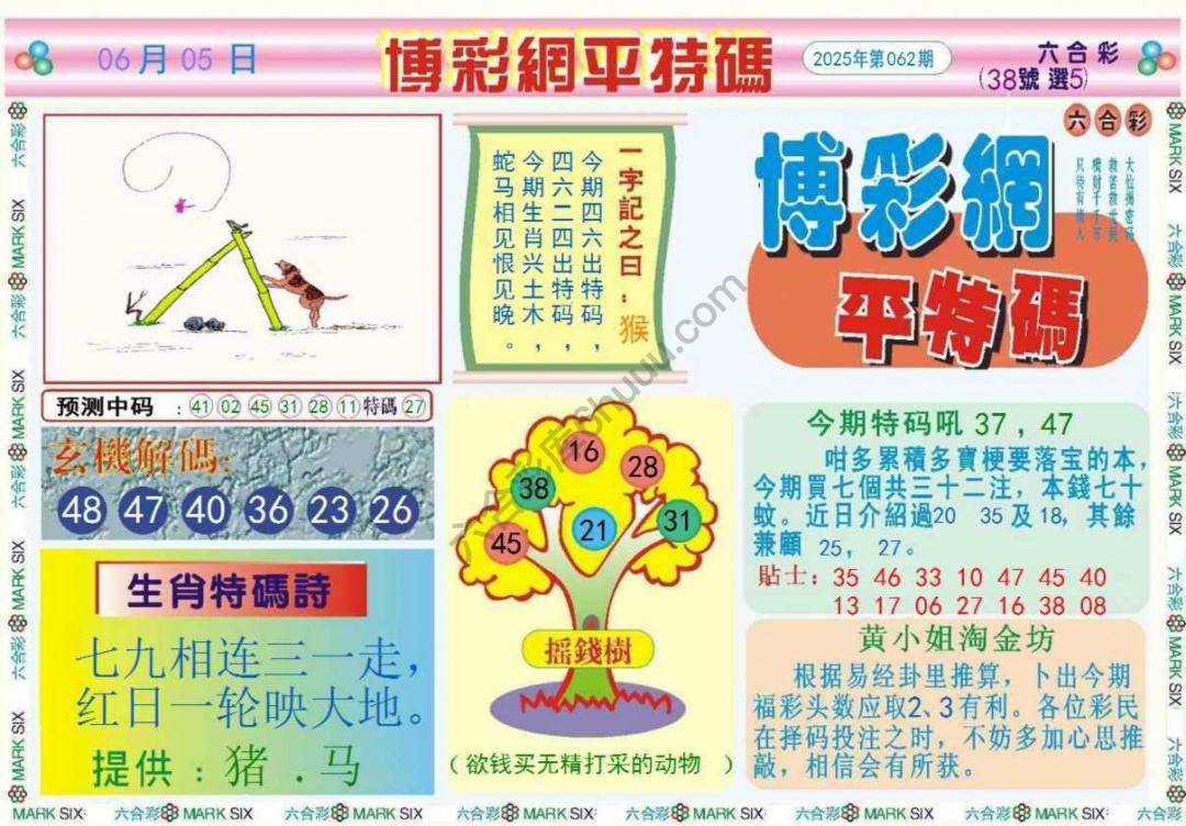博彩网平特码
