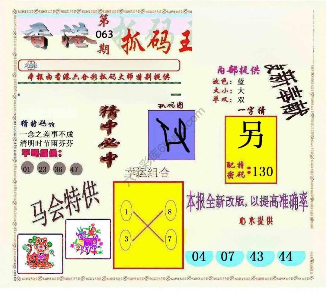 新抓码王