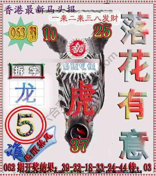 香港马头报
