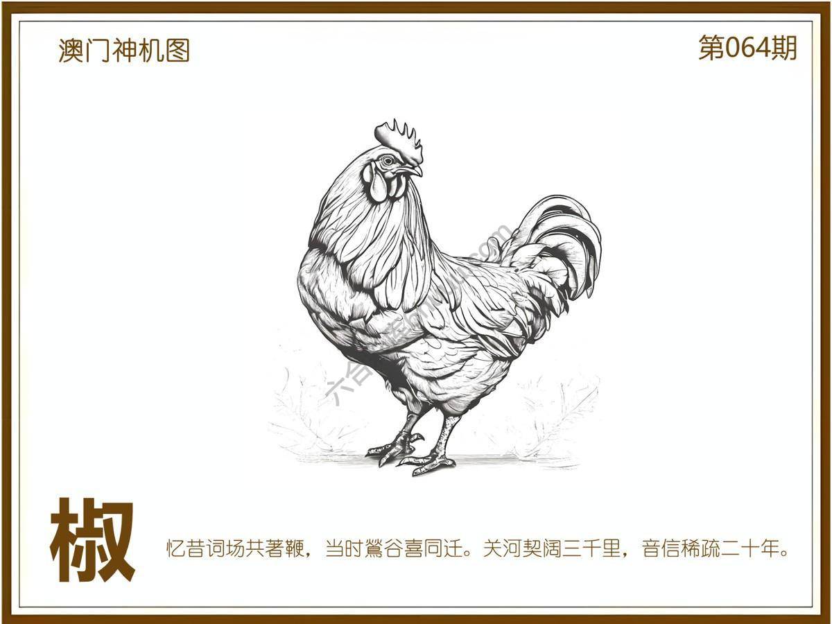 澳门神机图