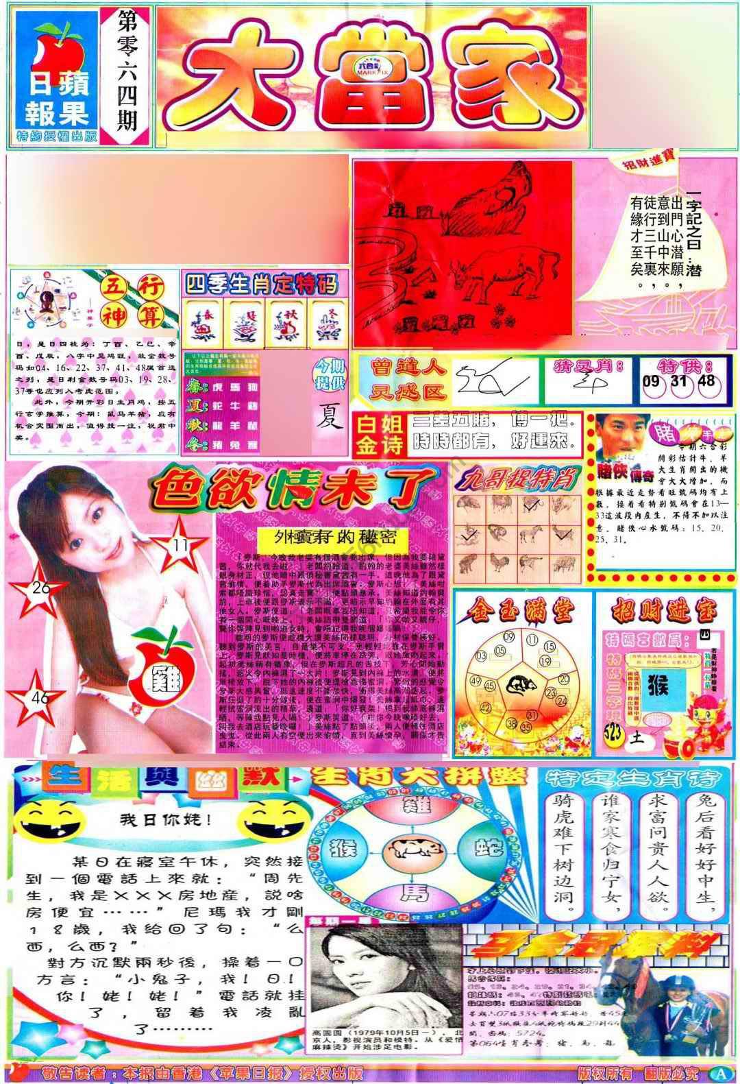 大当家
