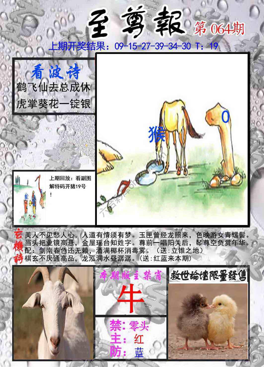 至尊报
