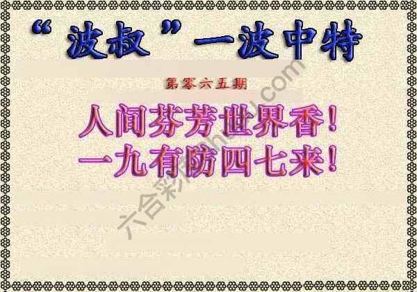 波叔一波中特