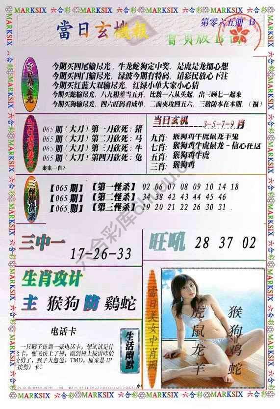 当日玄机报