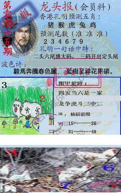 龙头报