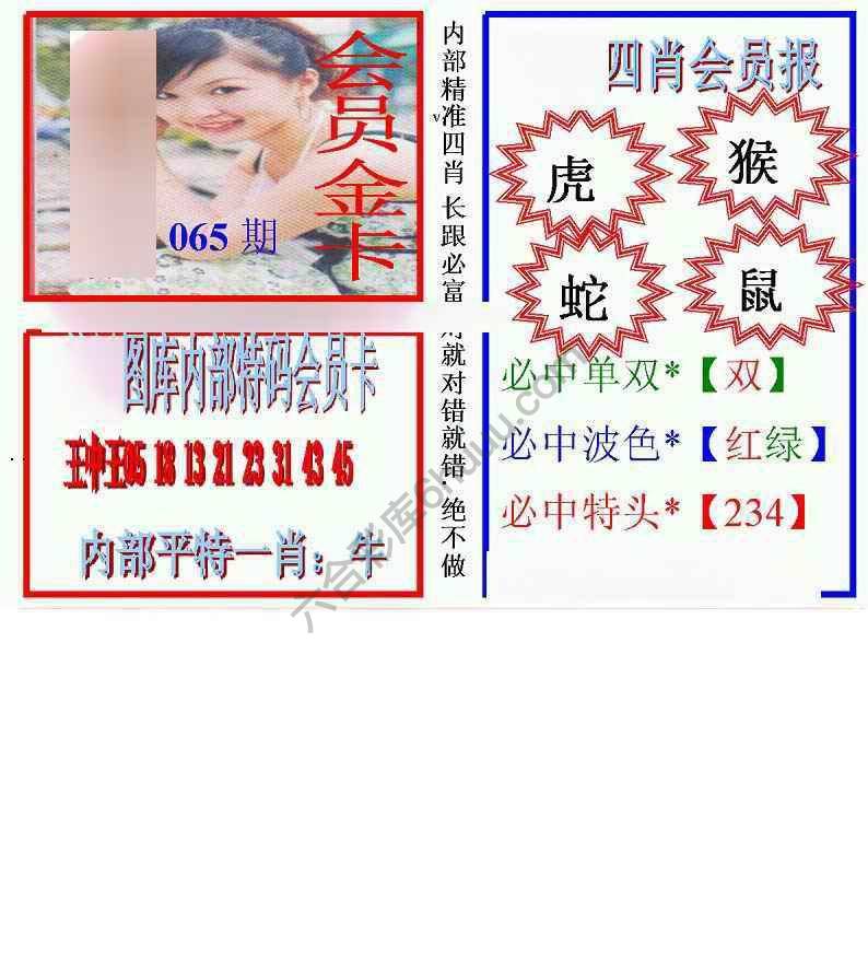 马经四肖会员报
