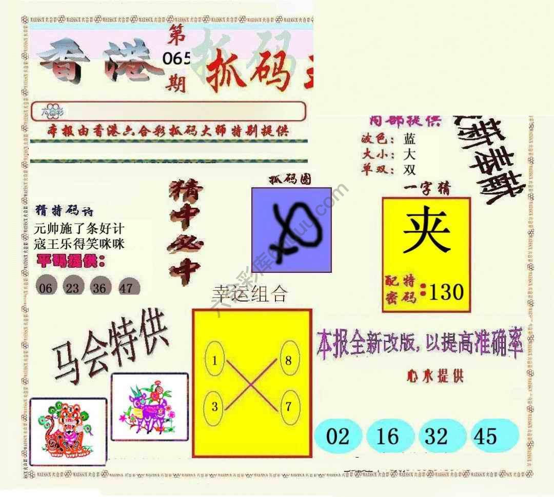 新抓码王