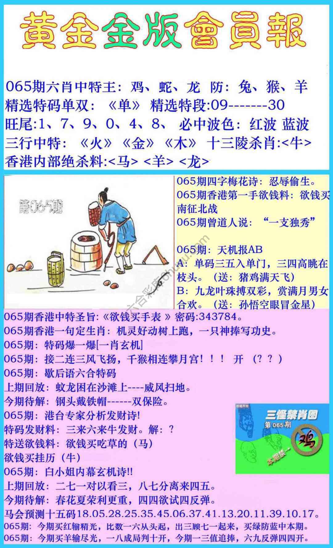 黄金金版会员报