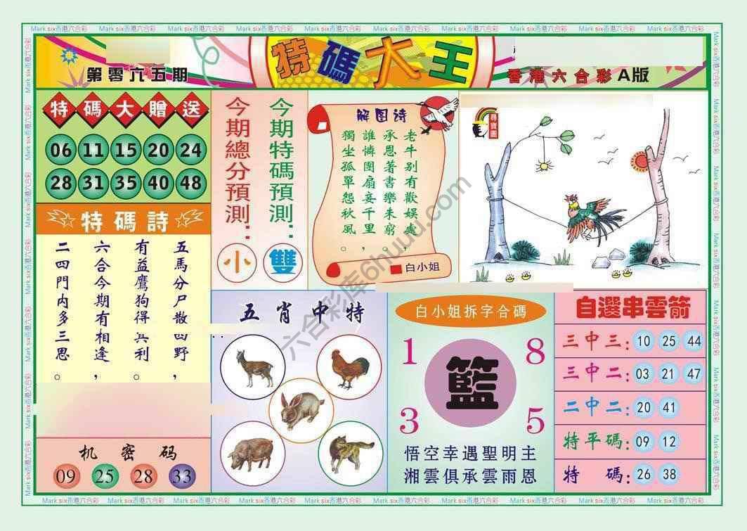 特码大王