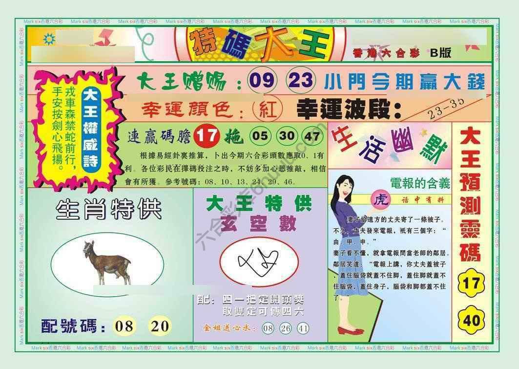 特码大王