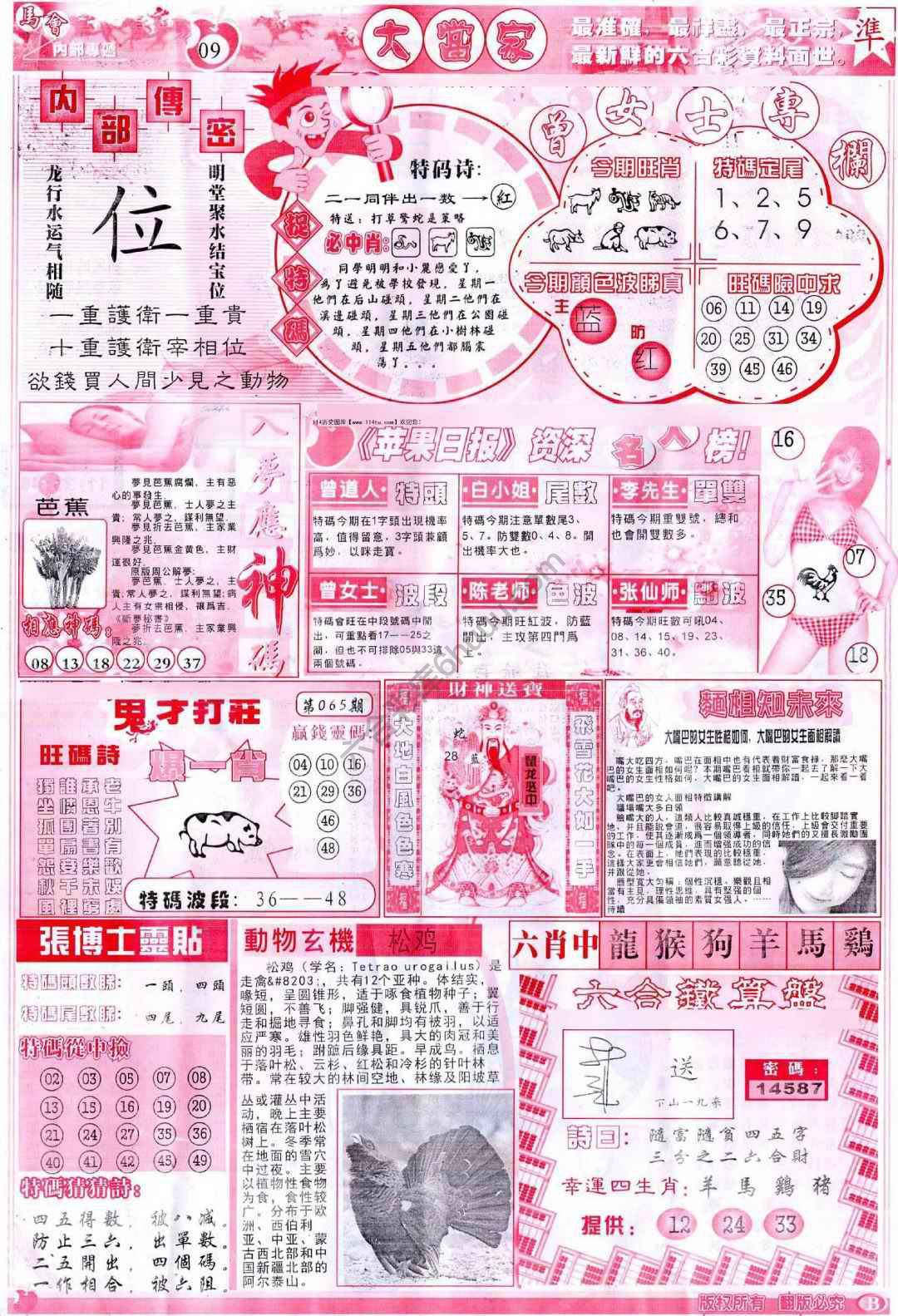 大当家