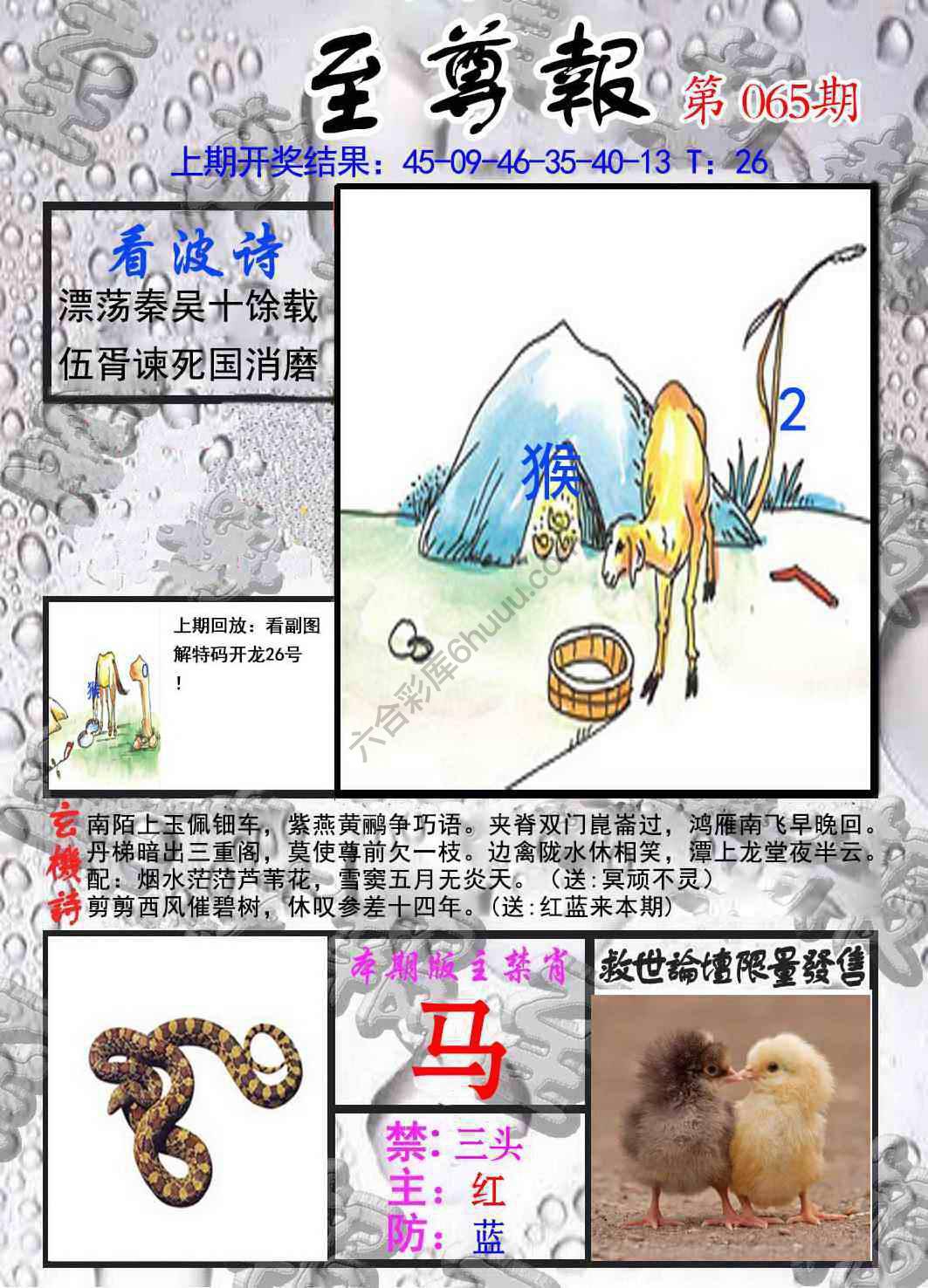 至尊报