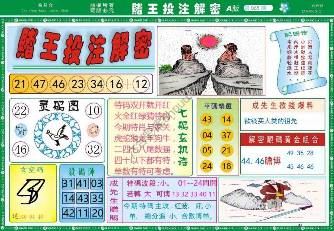 赌王投注解密