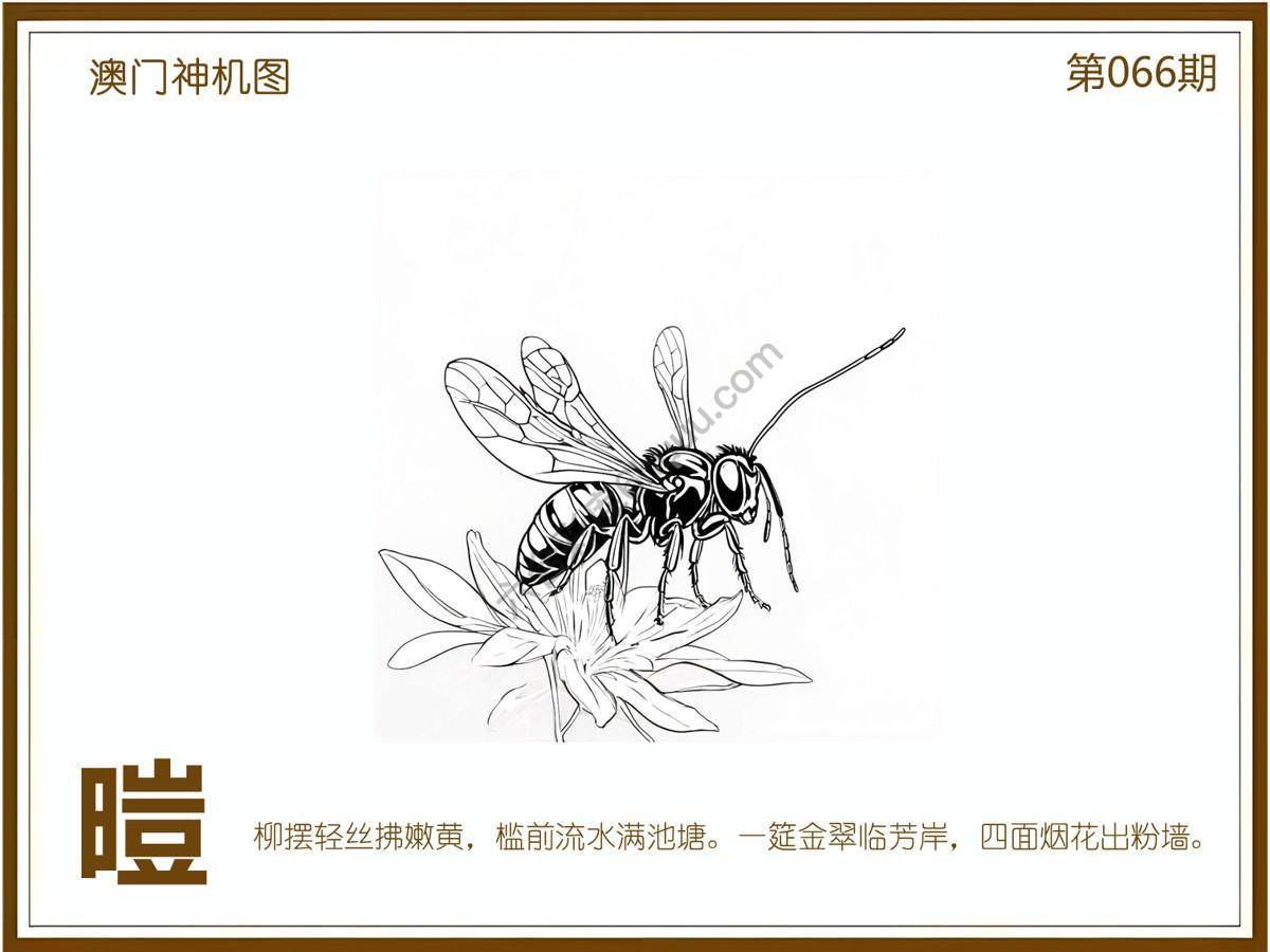 澳门神机图