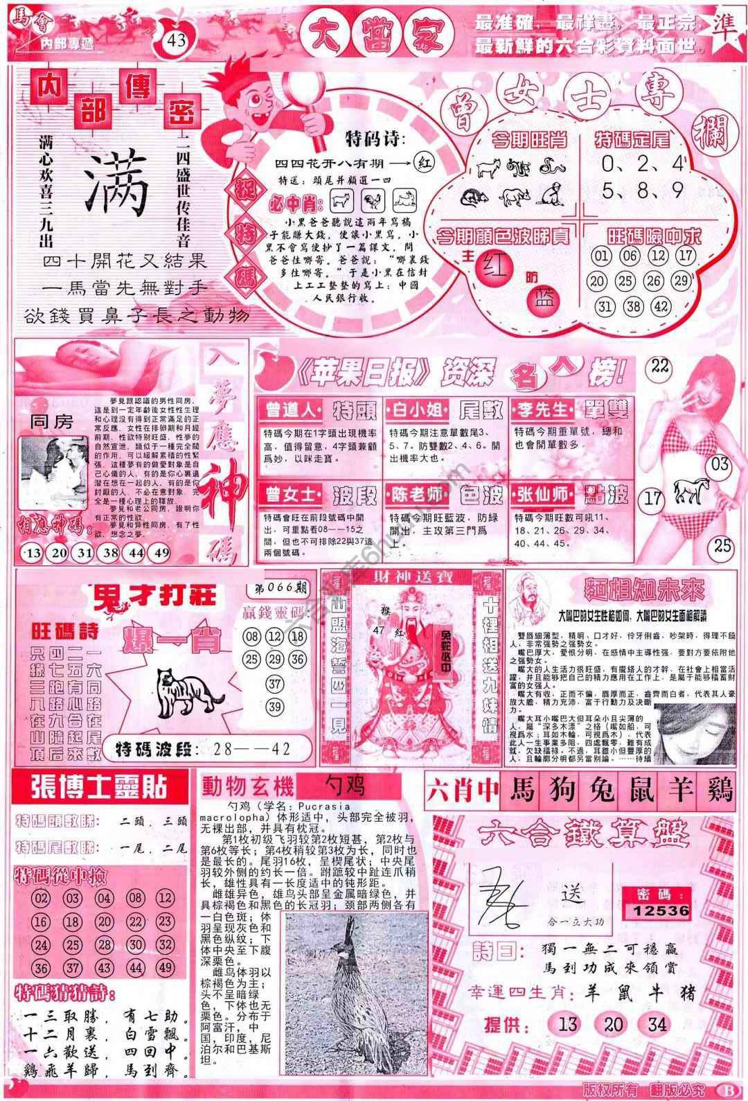 大当家