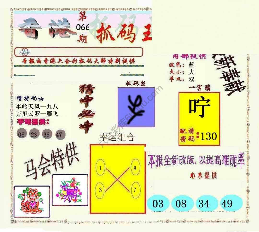 新抓码王