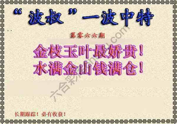 波叔一波中特