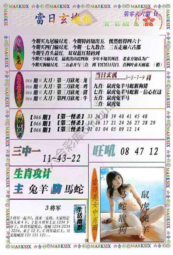 当日玄机报