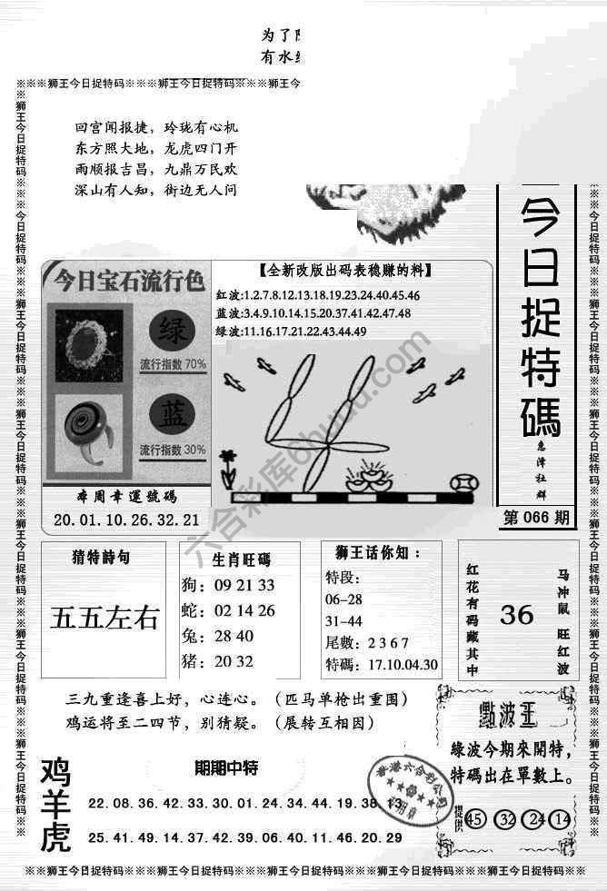 狮王今日抓特码