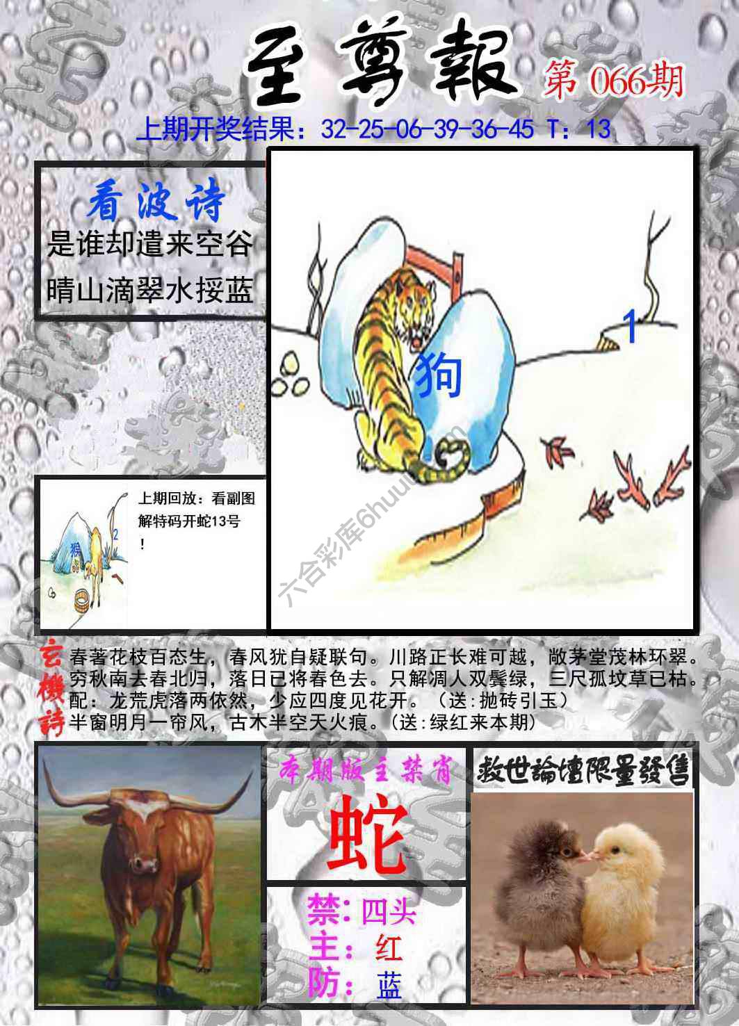 至尊报