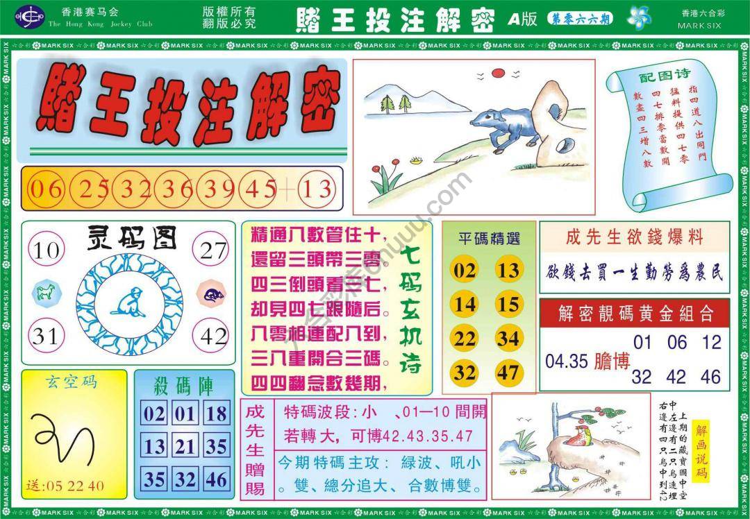 赌王投注解密