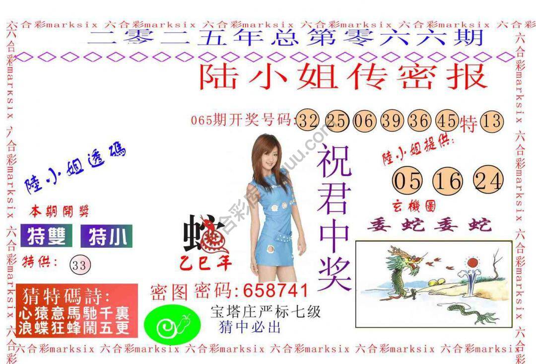 陆小姐传密
