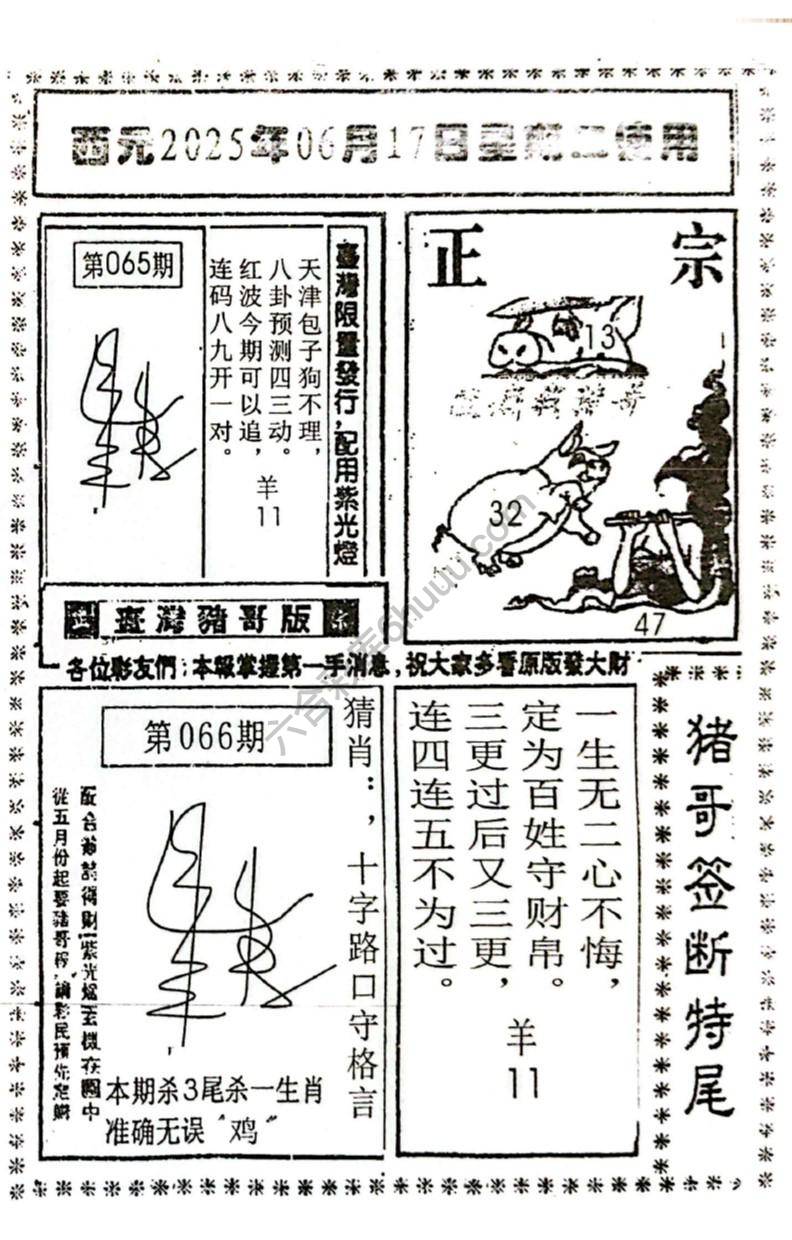 猪哥签断特尾
