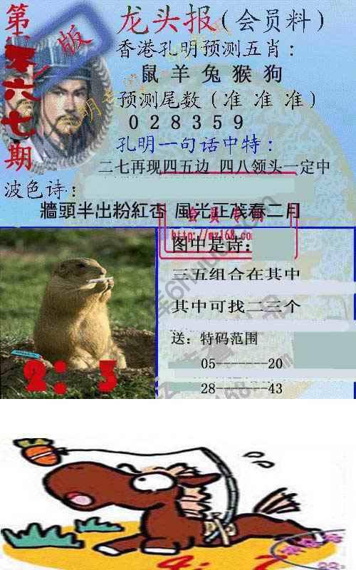 龙头报