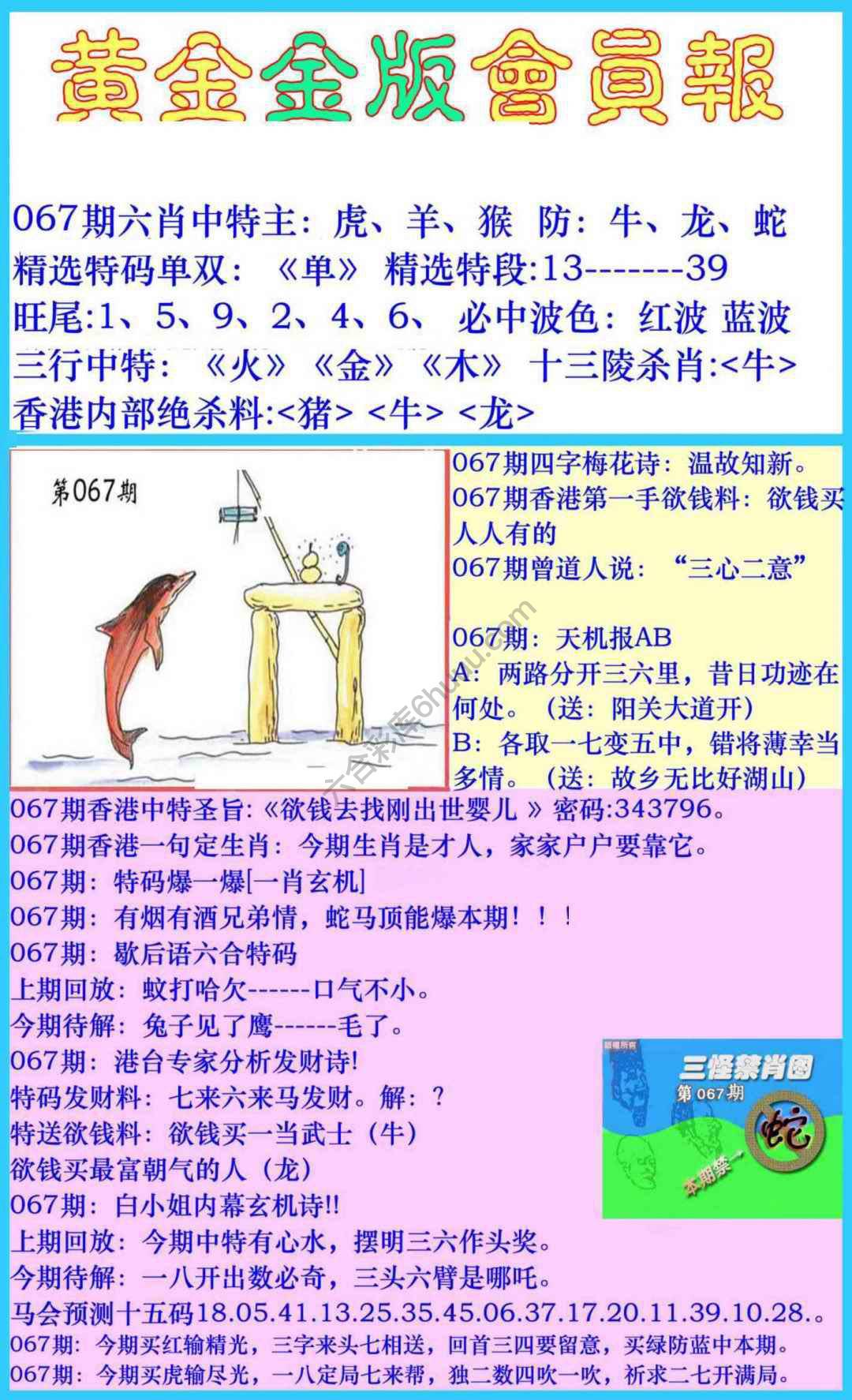 黄金金版会员报