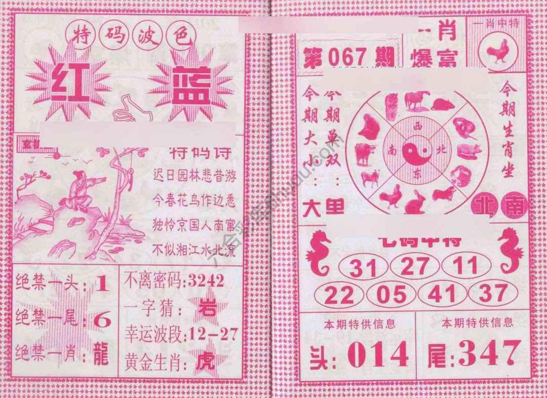 一肖爆富