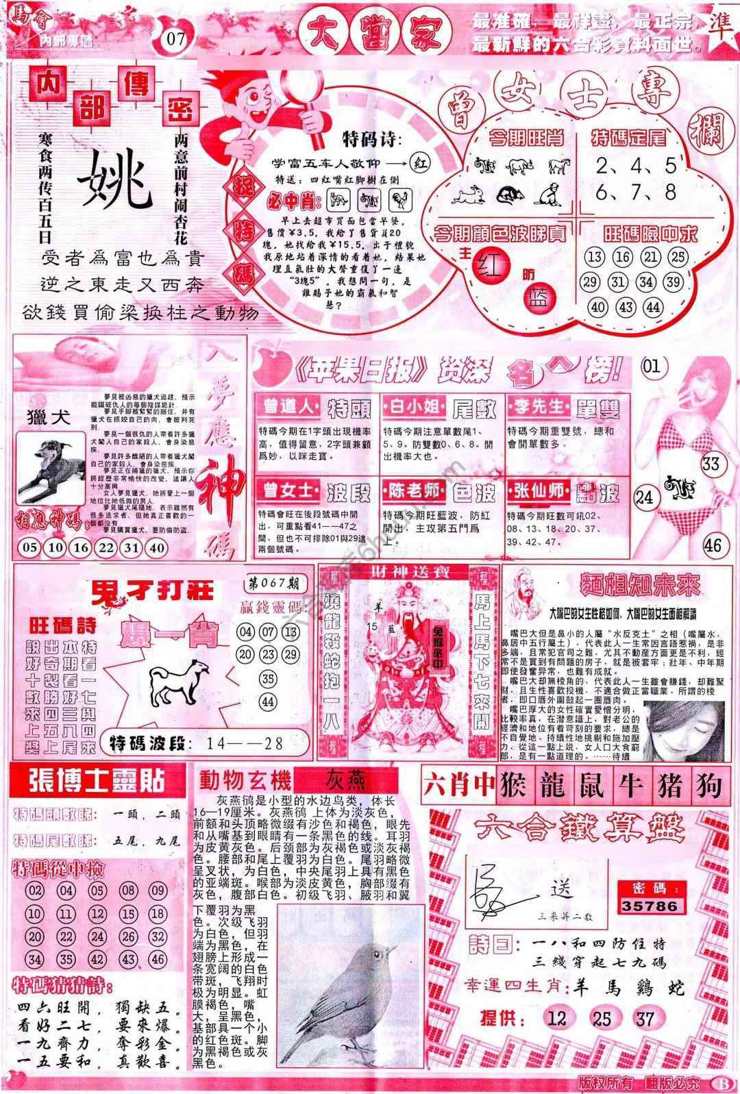 大当家