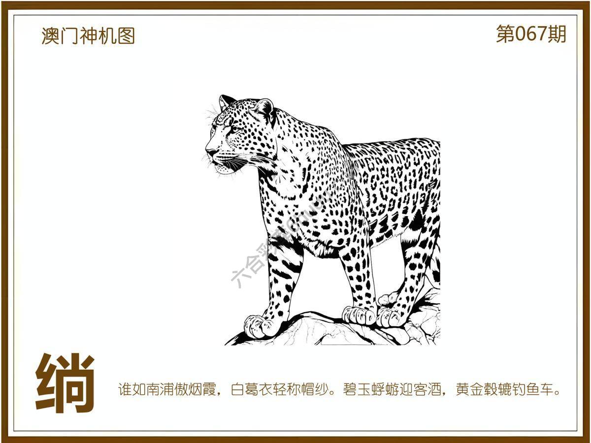 澳门神机图